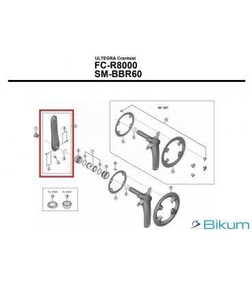 BIELA IZQUIERDA 172,5MM FC-R8000 HOLLOWTECH - Imagen 1